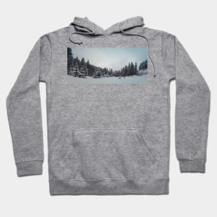 fir forest panorama Hoodie